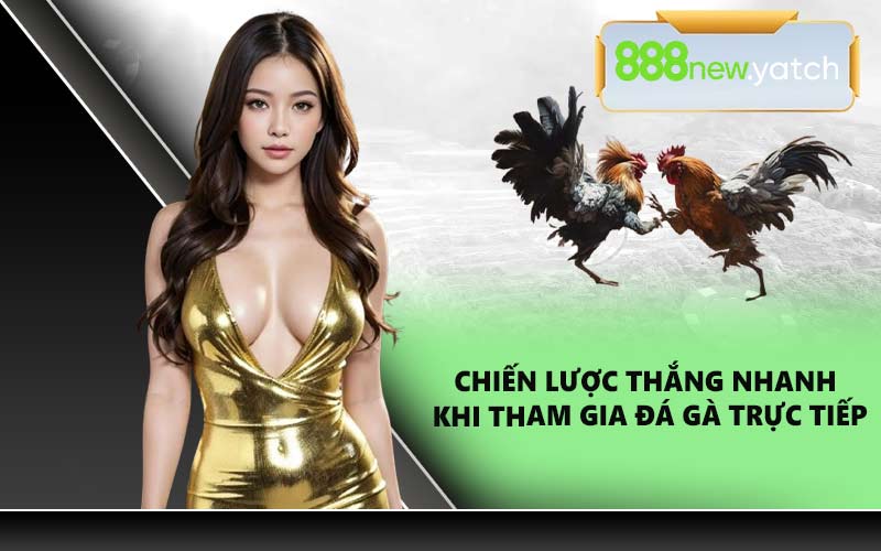 Chiến lược thắng nhanh khi tham gia đá gà trực tiếp