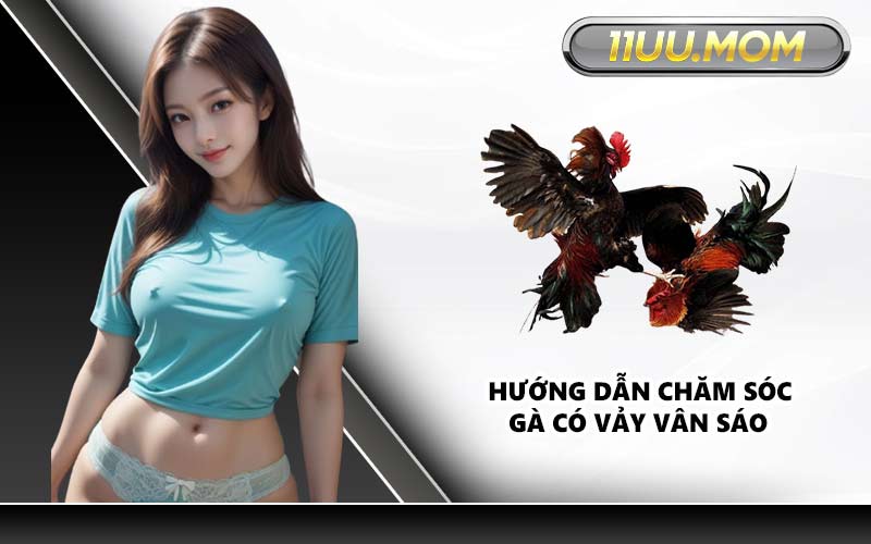 Hướng dẫn chăm sóc gà có Vảy vân sáo