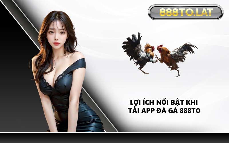 Lợi ích nổi bật khi tải app đá gà 888TO